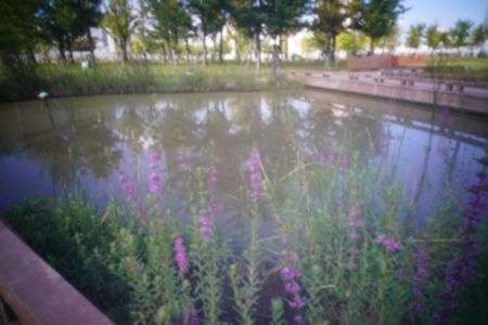 ピンホール撮影