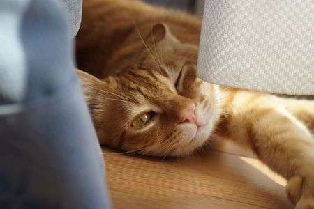 邪魔しないでよ