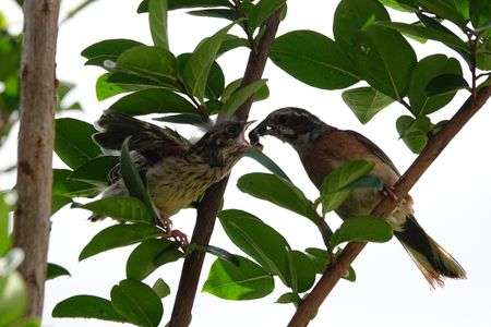 そこに愛がある