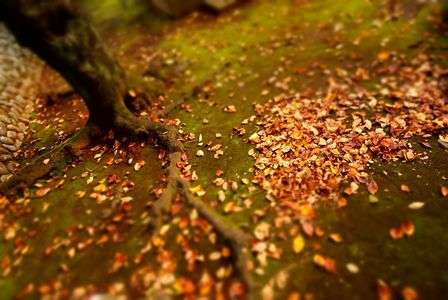 「焼き芋食べたいな..🍠」