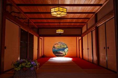 ～晩秋の明月院、霜月の風情！～