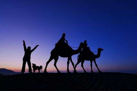 ワンコと日の出