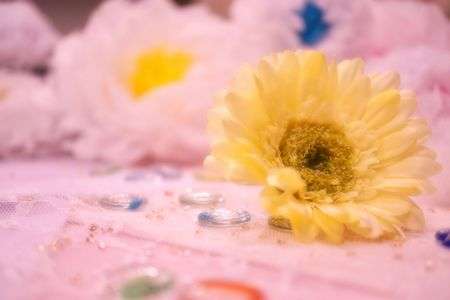 ふわふわの世界