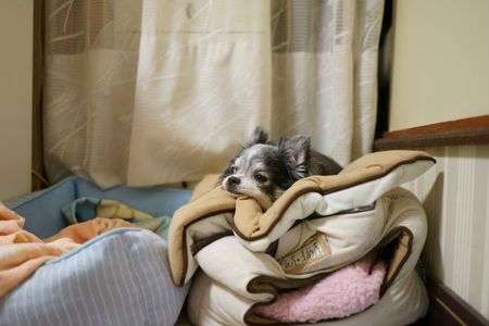 間違った使い方