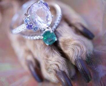 キラキラわんこ