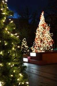 イルミネーション