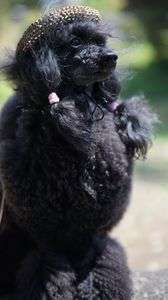 初夏の風と帽子