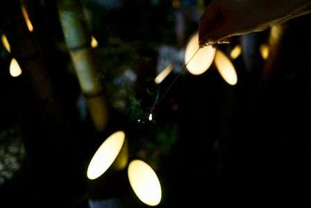 A midsummer night’s dream