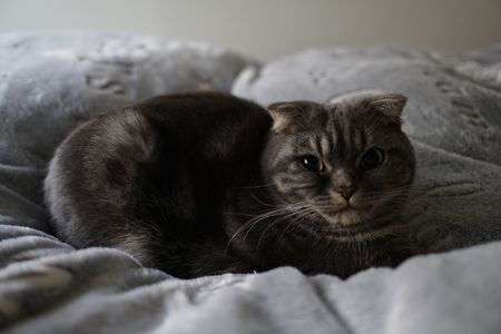 まだ少し警戒してる？