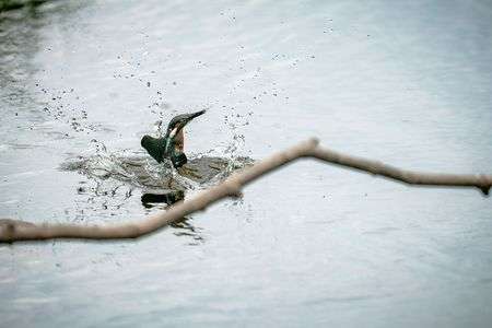 しぶきを纏って