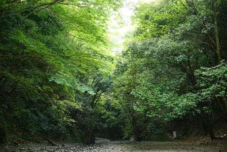 奥には何があるのだろう