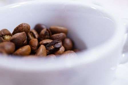 はじめてのマクロレンズ