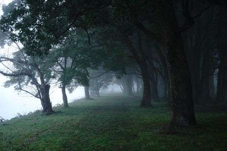 あさのこうえん