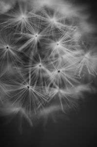 ぼくらはみんな生きている