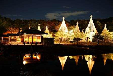 日本庭園夜景