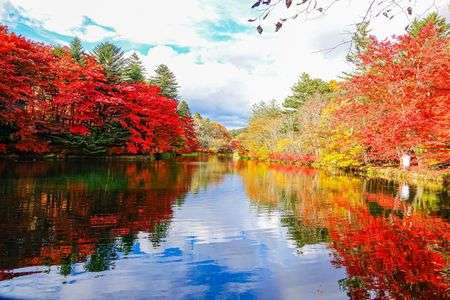 紅葉燦然 高原の秋