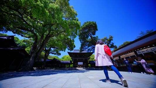 新緑を撮る、そして、広角を撮る