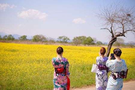 着物女子×菜の花　1
