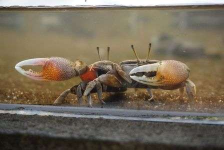 17.1.1 宇宙科学館にて（佐賀県）