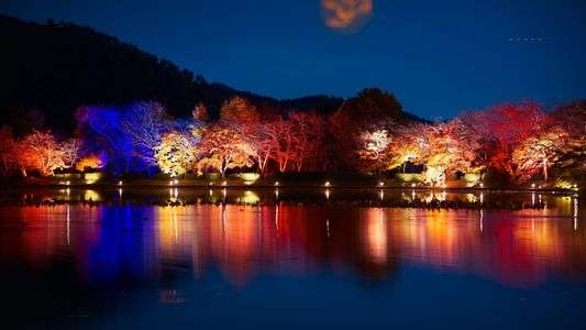 大覚寺 夜間拝観
