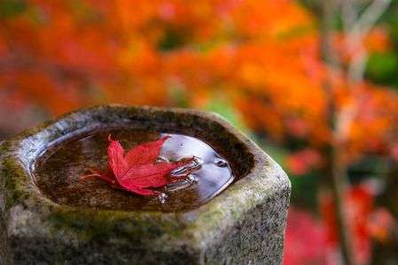  紅葉の大山（雨降山）