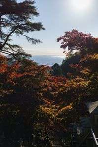 秋の紅葉登山（大山）