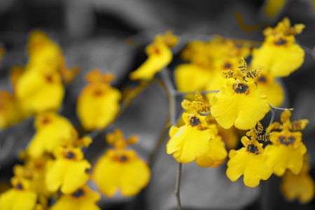 単焦点レンズ撮影会