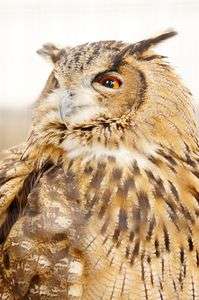 こっち向いて！