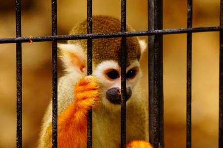 外の世界はどんなかな...。