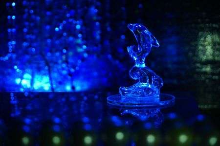 ガラスのイルカ