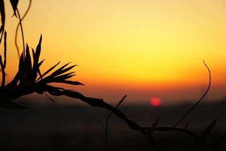 夕暮れのシルエット