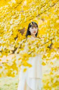 You in the Ginkgo Tree