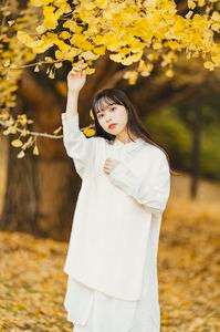 Reaching for ginkgo leaves