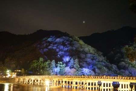 嵐山　ライトアップ
