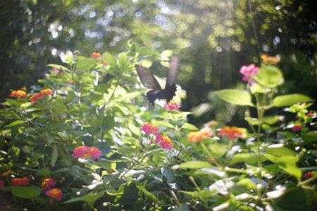 微妙にぐるぐるボケ