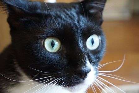 (おいおい、まじかよ...荷物検査なんて聞いてねぇよ。)