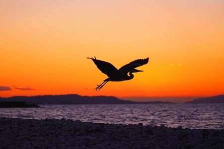 一期一会の夕景色♪