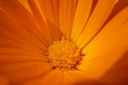 マクロって楽しい