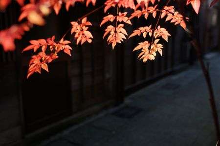 金沢　三茶屋街