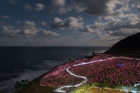 イルミネーション♡ひとり撮影は寒さがしみる…