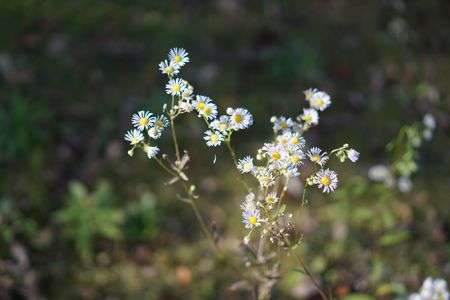 練習で撮ってみた