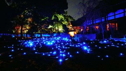 青蓮院門跡のライトアップ