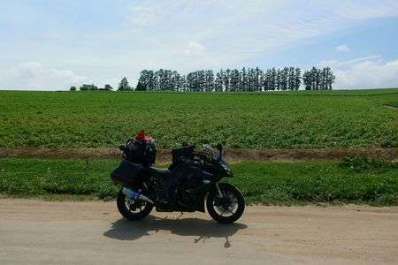 マイルドセブンの丘