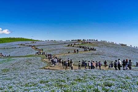 フィネモラの丘