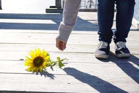 ふゆのひまわり