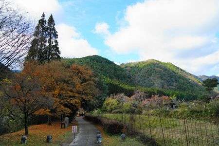 晩秋の耶馬渓散策②