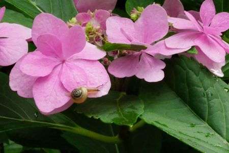 雨上がりの長瀞にて