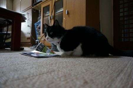 ご飯がないんだけど・・・