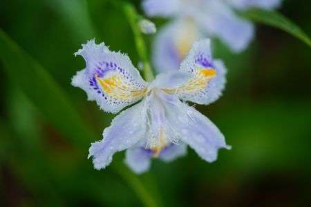 二宮での撮影会です