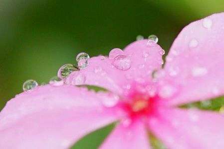 水のひとしずく